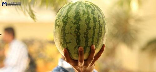 娱乐圈大瓜可以吃吗,揭秘明星幕后故事，一网打尽娱乐热点